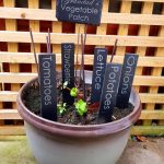 Personalised Engraved Slate Markers for your Herb Garden, Allotment, Flower Garden